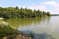 Merklínský rybník, pohled na pravý břeh