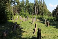 Židovský hřbitov u Ptenína.