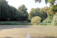Velký rybník