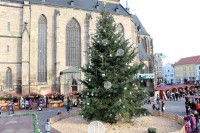 Vánoční strom v pozadí katedrála