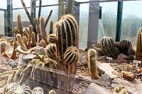 Pavilon s kaktusy