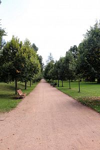 Záběr z parku