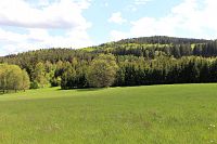 Pohled na vrch V Zálužickém lese