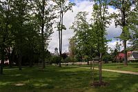 Pohled z parku na evangelický kostel