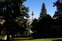 Pohled na kostel ze zámeckého parku
