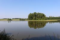 Smrkovský rybník, pohled z hráze na západní břeh Smrkovský rybník.