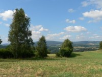 Bohdašický vrch, louka