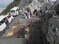 Gibraltar, krmení magotů