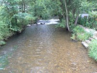 Řeka Ostružná u Kašovic