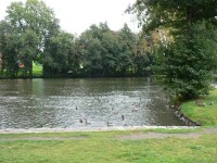 Varnsdorf, rybníček v parku