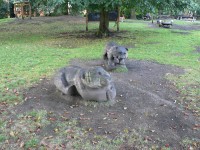 Varnsdorf, medvídci v parku