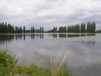 Vysoké Veselí - nový rybník