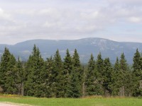 Černá hora - výhled od Černé Boudy na Luční a  Studniční horu