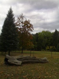 Týniště nad Orlicí - Městský park