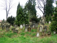 Hořice - židovský hřbitov