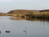  Vysoké Veselí, rybník Šmejkal 