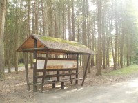 Hradec Králové - lesní hřbitov