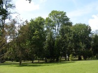 Lázně Bělohrad - zámecký park