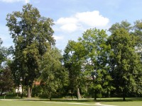 Lázně Bělohrad - zámecký park