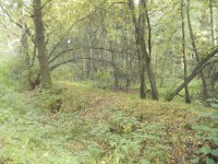 Smiřická hráz - Hradecké lesy 
