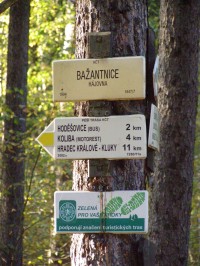 Rozcestí u Bažantnice - Hradecké lesy