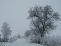 zimní cesta u rozcestí Těšín