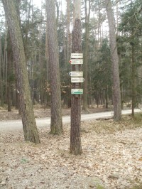 turistické rozcestí Ve Vlčích jamách - Hradecké lesy