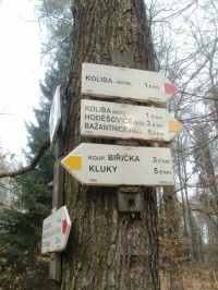 turistické rozcestí Borkovník - Hradecké lesy