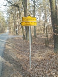 cykloturistické rozcestí u Albrechtic nad Orlicí