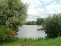 Sběřský rybník
