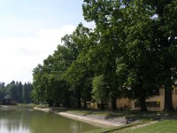 rybník Pardoubek