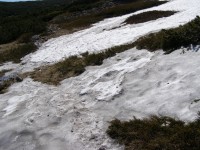 sněhová pole na úpatí Sněžky