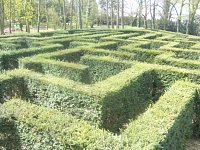 Tisový labyrint