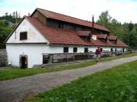 Dobřív