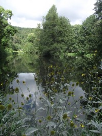 dolní rybník