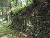 Jindřichov (okr. SU) - zřícenina hradu Pleče (Jindřichovský hrad)