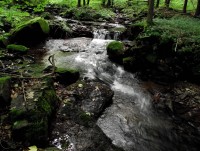 Jablonné nad Orlicí a jeho okolí (Kobylí důl, Suchý vrch)