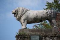 etruský lev