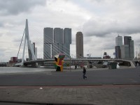 Erasmus Bridge a De Rotterdam