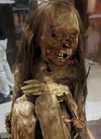 dívčí mumie v muzeu