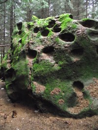 kamínky v lese pod skalami