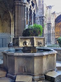 Barcelona – katedrální klášter a třináct hus    (Claustre / Claustro de Catedral)