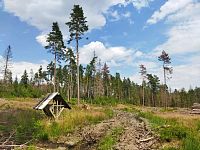 Jak změnil kůrovec NP České Švýcarsko aneb pár chvil před požáry