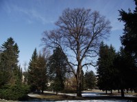 Šumperk - Jiráskovy sady (Schillerův park)