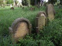 židovský hřbitov v Lošticích