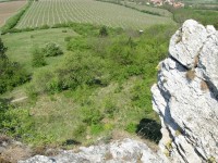 Výhled na vinohrady u Perné