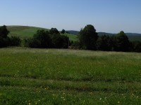 Loukami Bílých Karpat: Vrbovce, Žalostiná, Kobyla