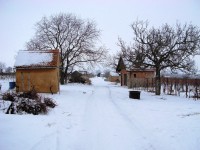 Zimní cesta mezi vinohrady k rozhledně