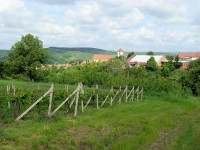 Modrými horami z Kobylí přes Vrbici a Čejkovice do Čejče