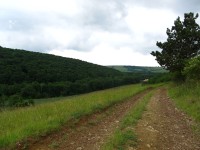 Bílé Karpaty - Chvojnická pahorkatina a Koválovské louky